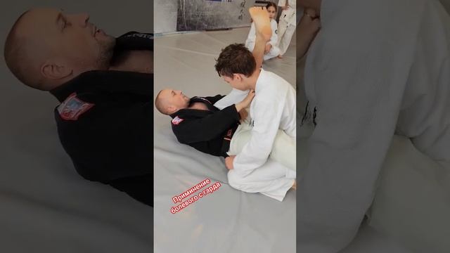 Pain Triangle#jiu-jitsu#болевой приём #джиу-джитсу#омск#taisei#Богдашин?