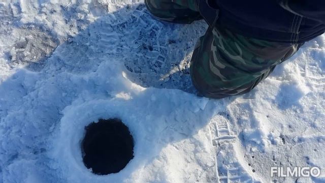 Рыбалка в Талапкере щука,окунь смотреть онлайн