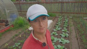 Видео привет с 6 соток 4 июня 2024 года.