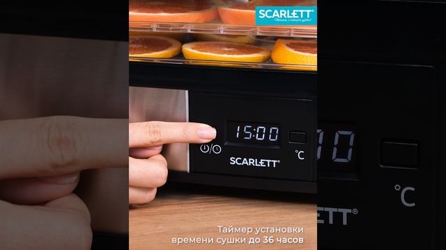 Scarlett SC-FD421T19