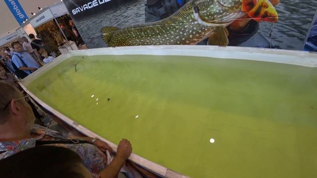 Международная выставка-ярмарка ОХОТА И РЫБОЛОВСТВО НА РУСИ 2019 смотреть онлайн