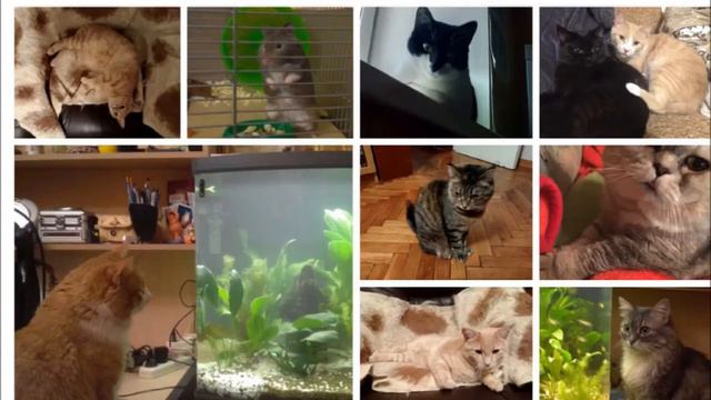 Юлия - наша Wonder woman смотреть онлайн