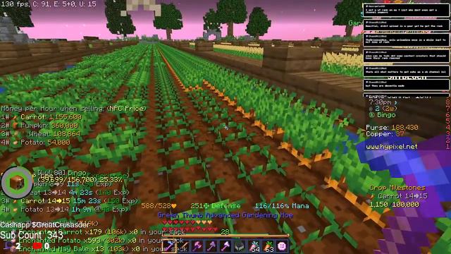 Last day of bingo profile (Hypixel Skyblock) смотреть онлайн