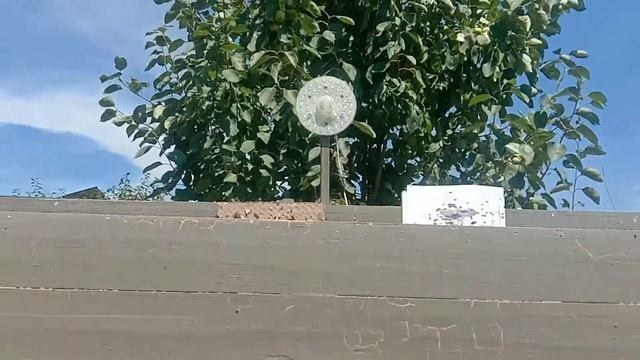 Калашников очередями по бегущей мишени смотреть онлайн