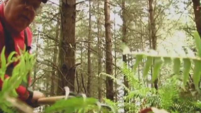 4 - Энциклопедия кладоискателя, трюфели смотреть онлайн