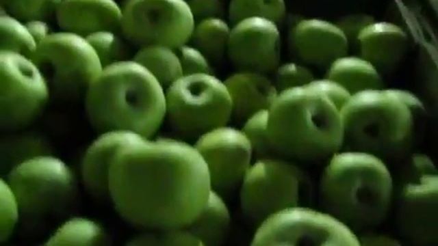 Яблоки Симиренко смотреть онлайн