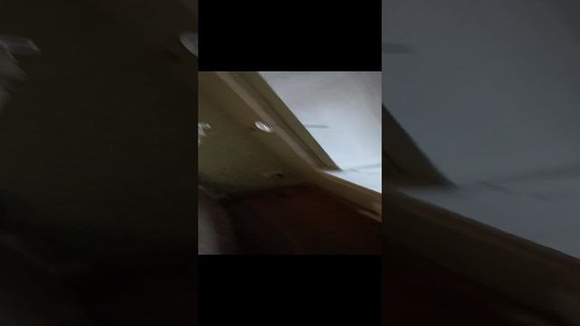 Вот такие косяки бывают на Mymaster