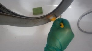 Как отмыть манжету стиральной машины от любых загрязнений