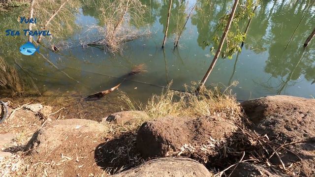 Рыбалка в Израиле 3.06.22 смотреть онлайн