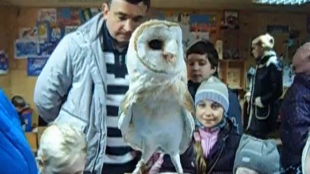 8965-380-13-11 Сова на праздник в Москве смотреть онлайн