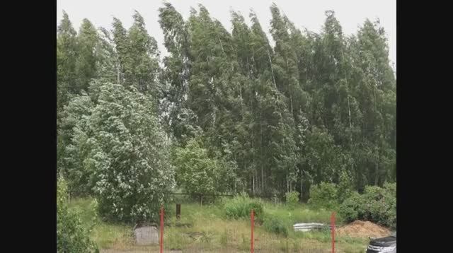 Сильный ветер в Каменногорске смотреть онлайн