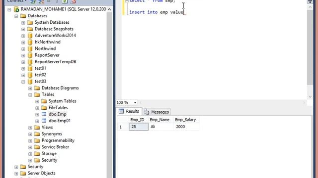 3- insert data into table SQL Server بالعربى смотреть онлайн