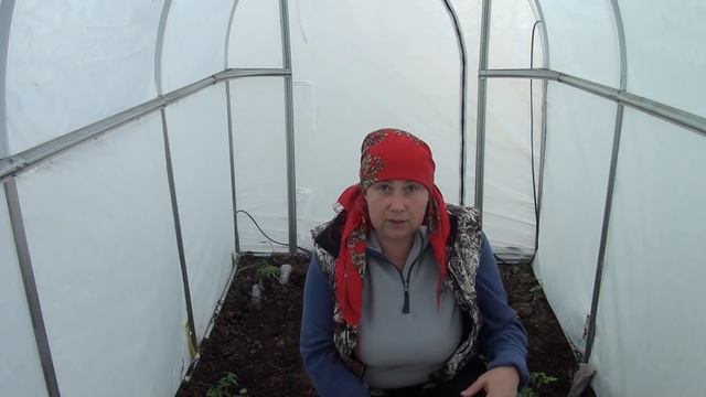 Получу БЕШЕНЫЙУРОЖАЙ с 1.5 СОТКИ смотреть онлайн