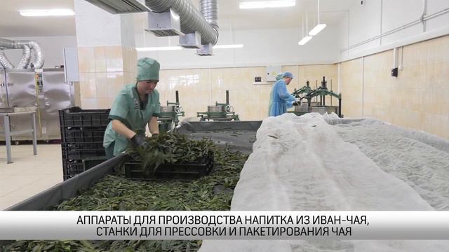 Иван чай от «Мама Карелия» смотреть онлайн