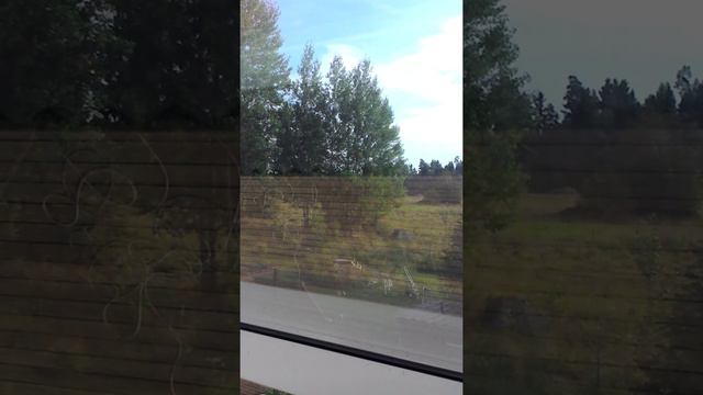 Elina Born & stig rästana смотреть онлайн