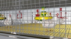 Клеточное оборудование для выращивание бройлеров. Модель Робот