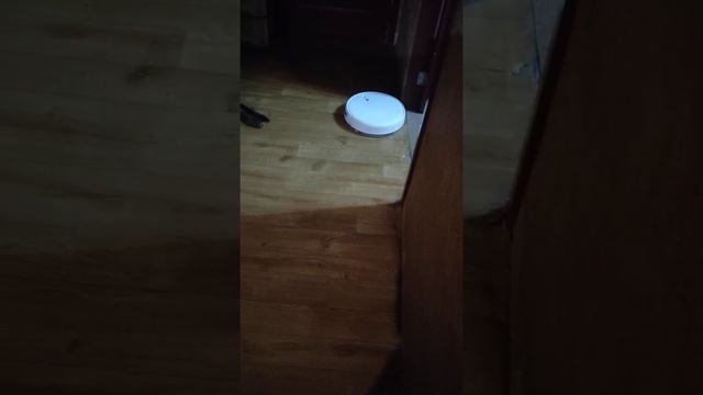 Xiaomi Mi Vacuum Mop 1c проблема возврата на базу. смотреть онлайн