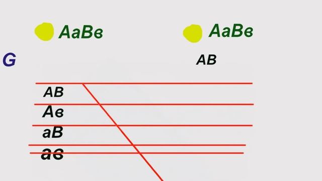 Школьная био: Генетика: Грегор Мендель и его законы. смотреть онлайн