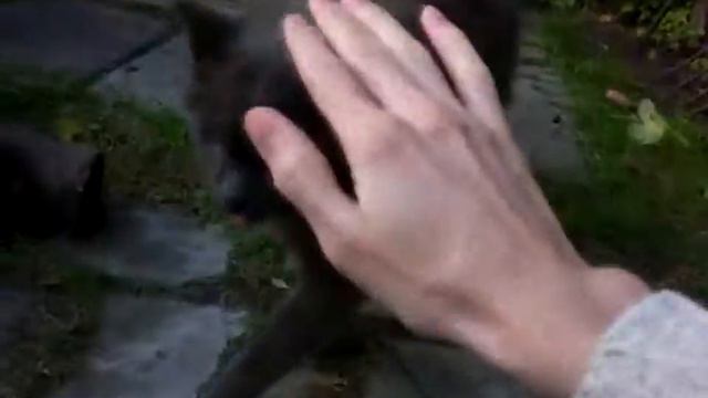 посвящение Мартыну под кавер на неизданную песню Скрябіна 