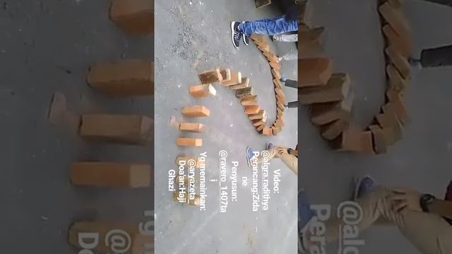 TESTING DOMINO смотреть онлайн