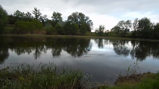 Прогулка с Байкалом к р.Оскол 12.05.18г. смотреть онлайн