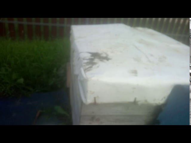 Прогулка в деревне осенью