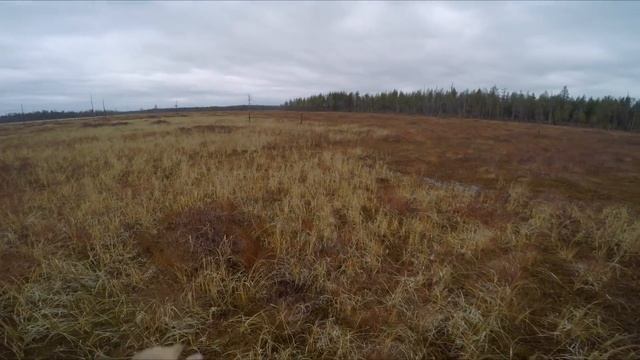 Охота на рябчика. Охота на глухаря. Северная тайга. Добрые походы. смотреть онлайн