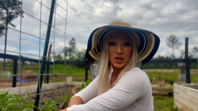 Garden Chit Chat: Talking about Powdery Mildew, Pruning Tomatoes, and Companion Planting смотреть онлайн