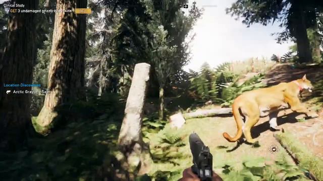 Far Cry 5 Get to Grizzly Bear Hunting Spot смотреть онлайн