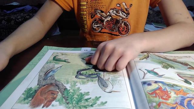 окружающий мир часть 1 3 класс разнообразие животных 88 93