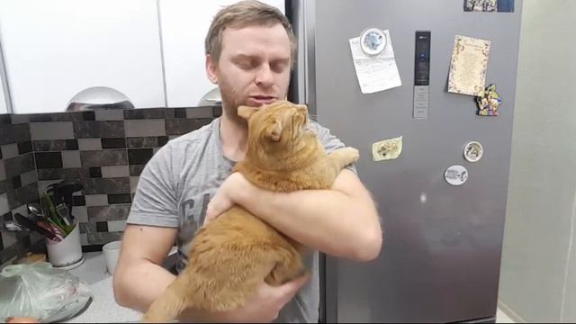 Черти Шо Мужик следит смотреть онлайн