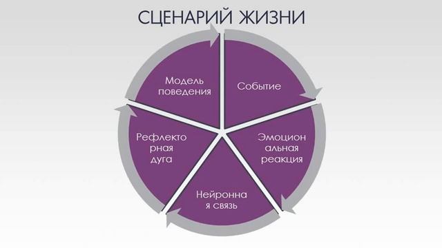 Модели поведения. Как изменить сценарий жизни. смотреть онлайн