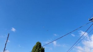 16.09.2023 Голуби Николаевские. Игорь М. 89372624743 #голуби #голубисаратов #николаевскиеголуби