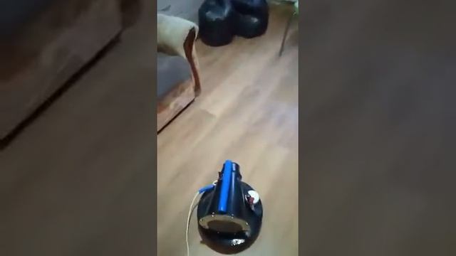 Клопы, что делать?! Вызвать дезинфектора. смотреть онлайн