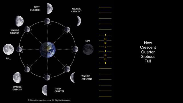 CC Cycle 2 Science Week 11: Phases of Moon смотреть онлайн