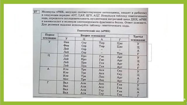 ПОДРОБНЫЙ разбор 2 части 7 ВАРИАНТА из сборника РОХЛОВА ЕГЭ ПО БИОЛОГИИ 2019 смотреть онлайн