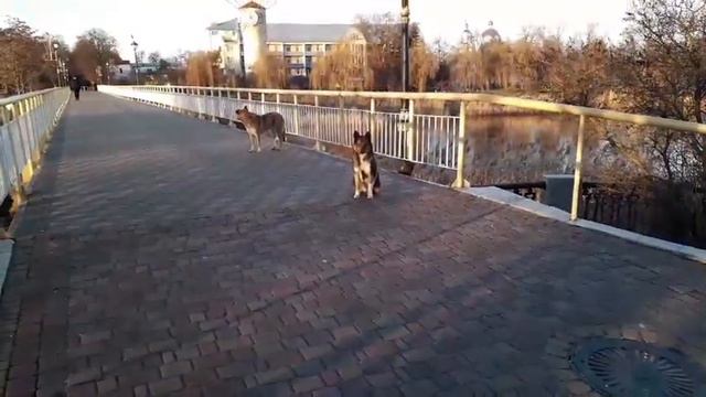 Харьков Салтовка Вчерашнее вечернее видео смотреть онлайн