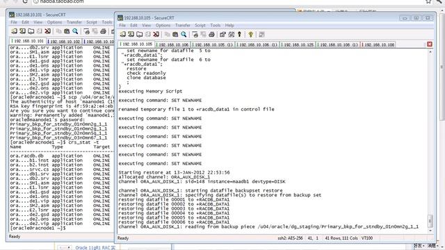 04.02-09_Oracle_10gR2_RACDG_4.2 Step9 Create the RAC Physical Standby Database(2012_01_13).flv смотреть онлайн