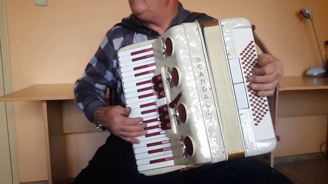 Scandalli Vintage LMM Accordion 96 bass Polifonico Showman Fisarmonica + Case (1) смотреть онлайн