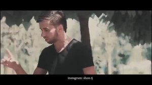 Shon ms      шон мс