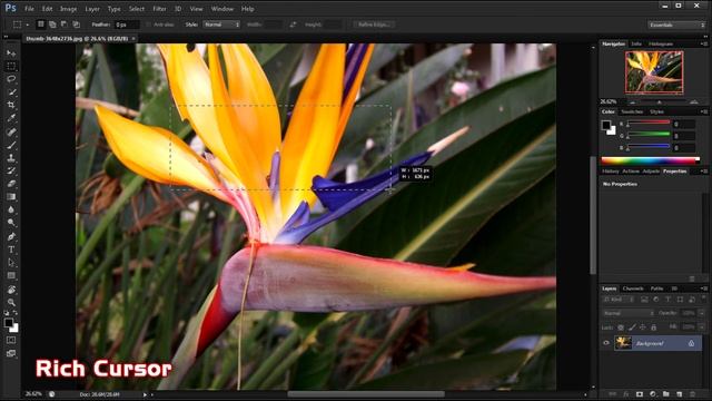 Adobe Photoshop CS6 (Beta)|First Look and Features смотреть онлайн