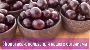 Чем полезны ягоды асаи для нашего организма? | Что делают с организмом человека ягоды асаи