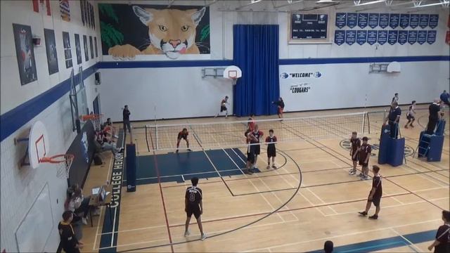 DP Todd v NPSS 2018 смотреть онлайн