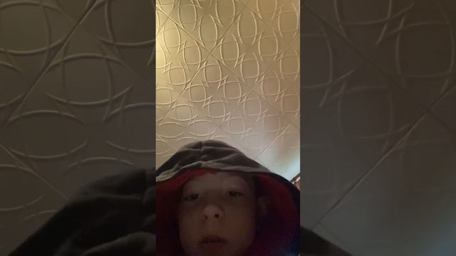 Aegis Hero из лего