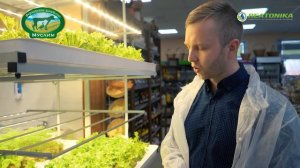 Выращивание зелени с помощью гидропонных систем ??