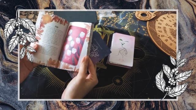 Unboxing Oracles "Seed & Sickle" et "Citadel Deck" de Liminal 11 смотреть онлайн