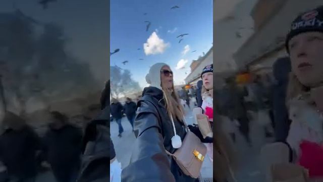 турецкий базар/ шапка Турция смотреть онлайн