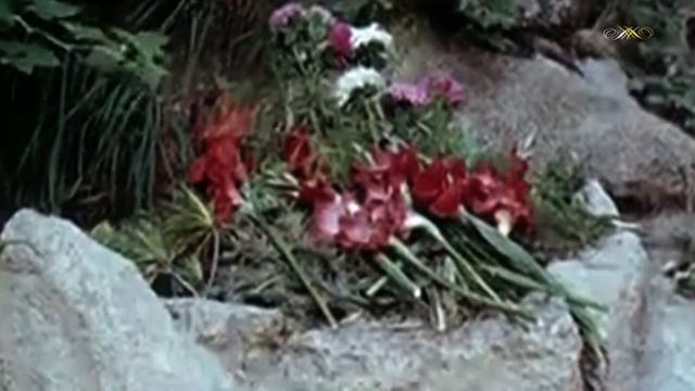 Вечно открытый божьему гневу смотреть онлайн