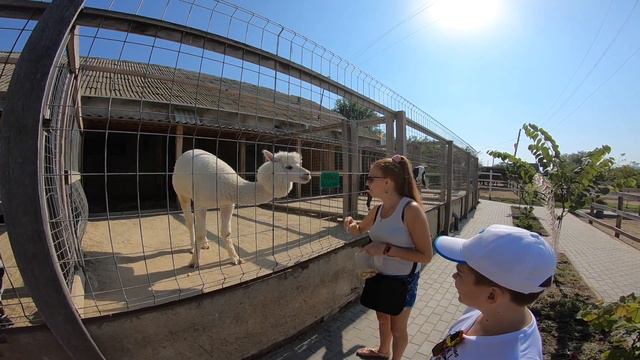 MOLDOVA, ZOOCLUB 2018 смотреть онлайн