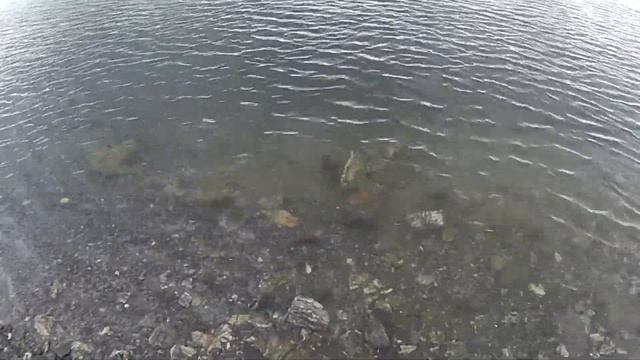 Норвежское северное море смотреть онлайн